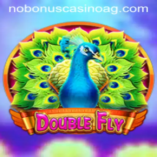 DoubleFly: Embark on a Sky-High Adventure